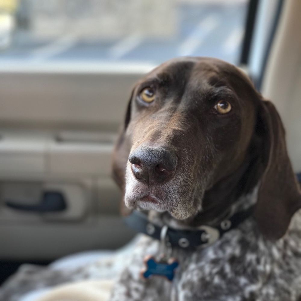 Meet your Posher, Trish